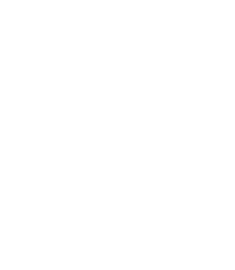 VIP PACKAGE